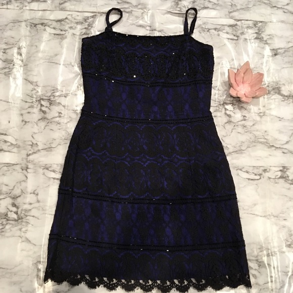Cache Dresses & Skirts - New Black Blue Lace Sparkle Cocktail Dress